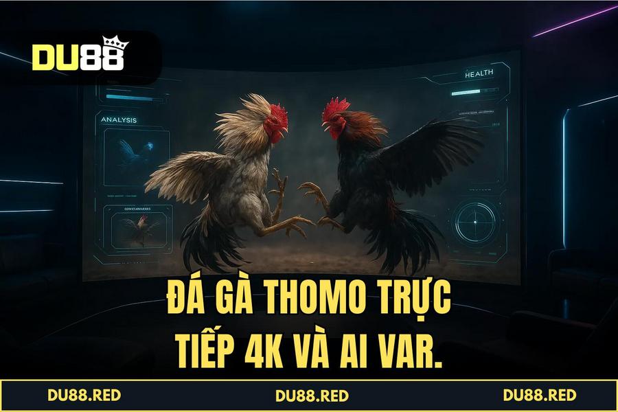 Công nghệ truyền hình trực tiếp 4K và hệ thống AI VAR giám sát trận đấu tại DU88