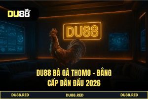 Đá Gà Thomo