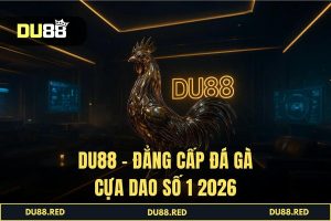 Đá Gà Cựa Dao